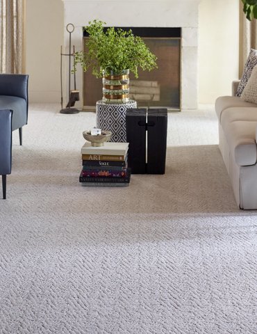 Living Room Pattern Carpet - Japke Decorating & Carpet in Staples, MN